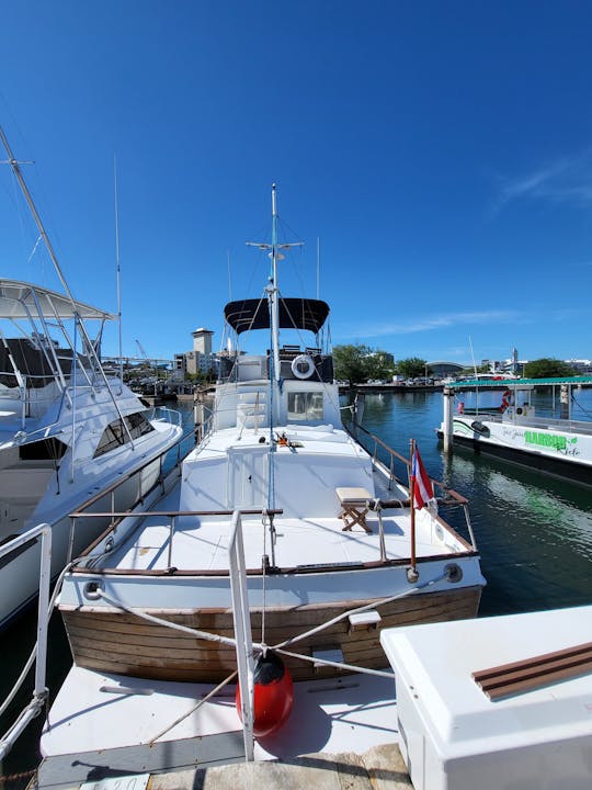 Baie de San Juan : croisière d'une journée | Boissons et collations •