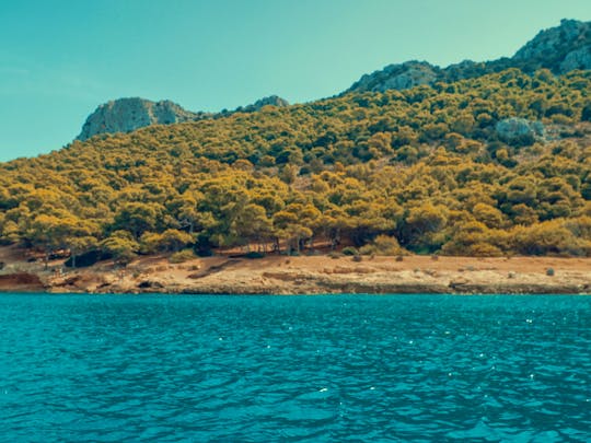 Cruise around Saronic Gulf / Aegina island - Moni islet - Perdika