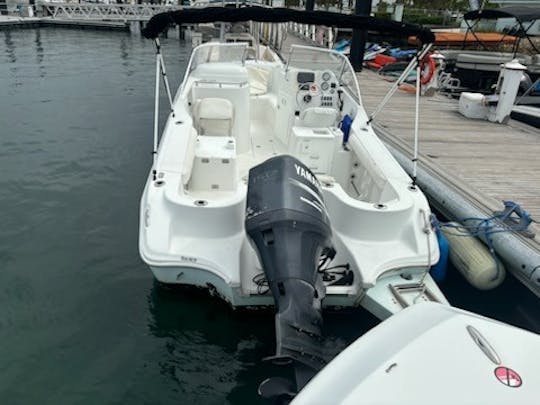 Console duplo Polar de 21 pés para cruzeiro, mergulho com snorkel, pesca e passeios turísticos!