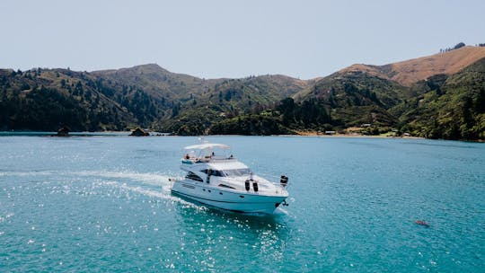 Ultimate Luxury Getaway in Marlborough Sounds, New Zealand