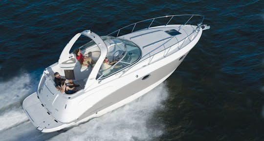 Beautiful Chaparral 290 Signature Cruiser in Harrison charter Township, Michigan