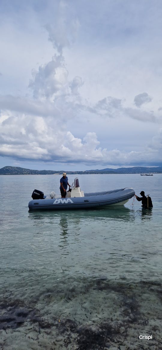 RIB Bwa 550 Olbia Pittulongu, nenhuma licença necessária