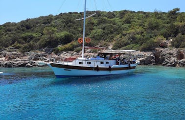Daily Private Boat in Bodrum 