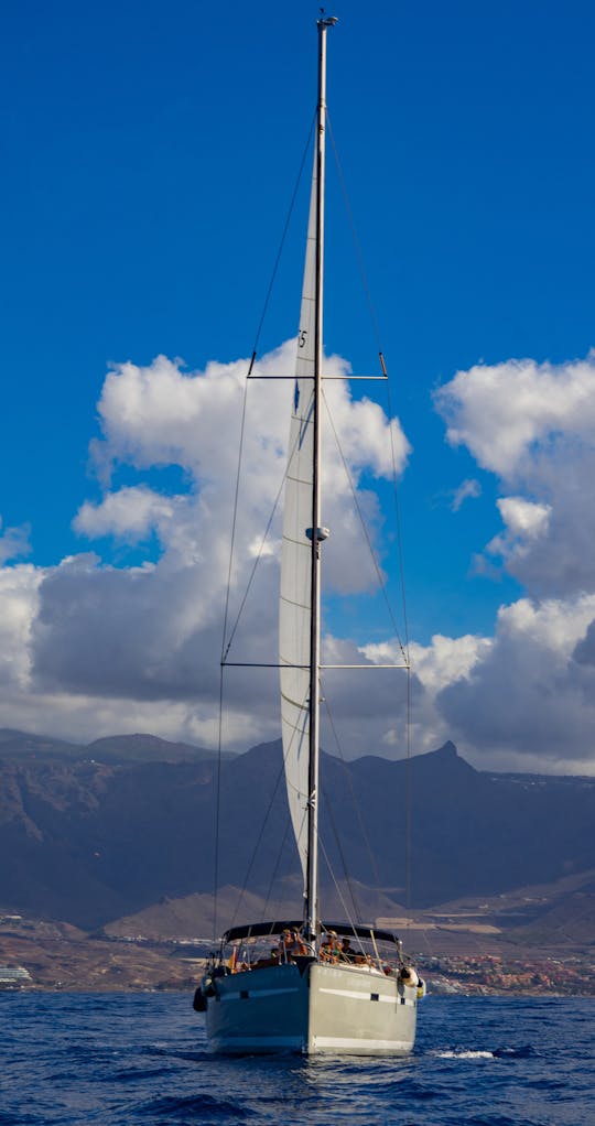 Velero de lujo «Lady Sunshine» Bavaria 55 Cruiser