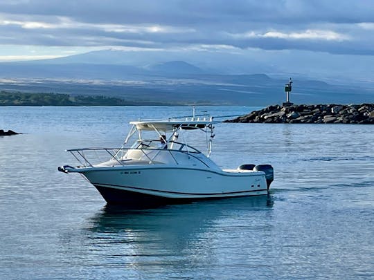 Scout Abaco in Waikoloa, Hawaii