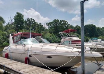 42 foot Cabin Cruiser for rent in Chicago $250/hr