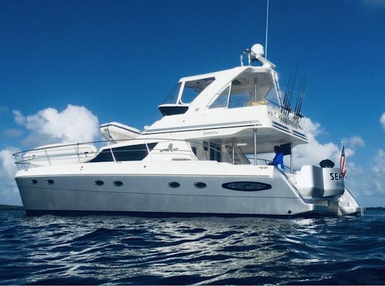 45ft Power Catamaran - Fort Myers, Naples, Cape Coral