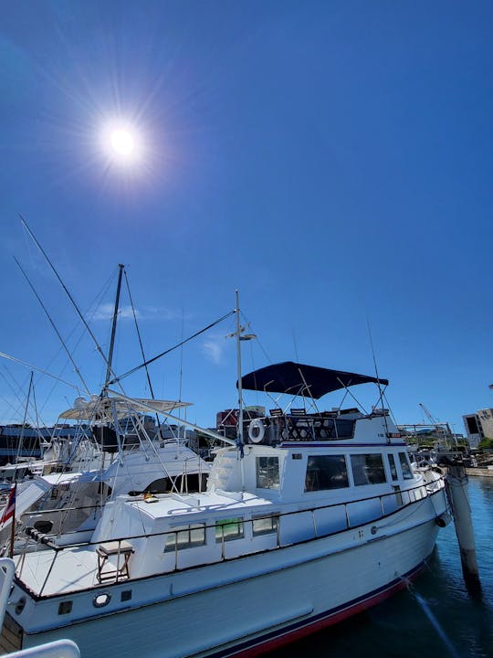 Bahía de San Juan: crucero de un día | Bebida y aperitivos •