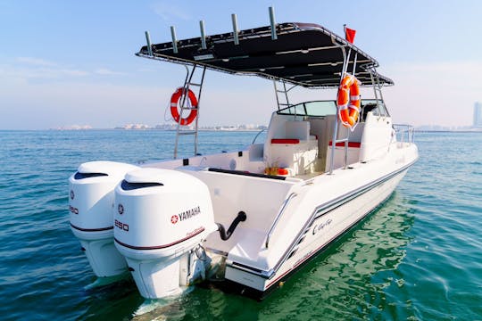 31 Feet Silver craft Motor Boat in Dubai KSY