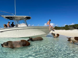 Luxury Grady-White 306 Sport Fisherman Yacht Private Charter in Nassau