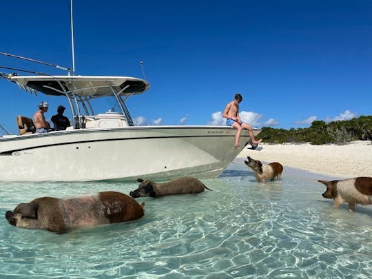 Alquiler privado del lujoso yate Grady-White 306 Sport Fisherman en Nassau