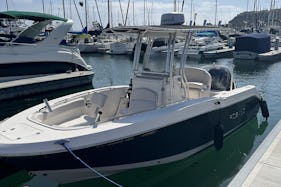 2017 Robalo R200 for Charter in Dana Point