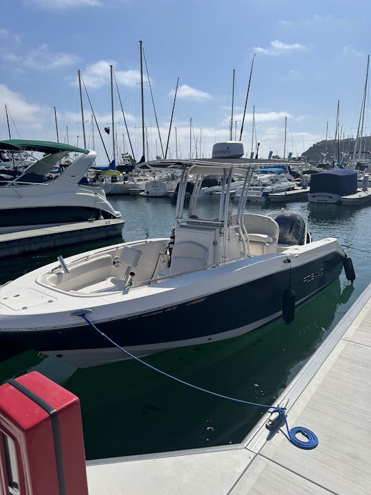 2017 Robalo R200 for Charter in Dana Point