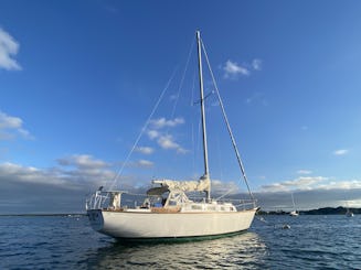 ¡Navega al atardecer por Buzzards Bay en una balandra clásica!