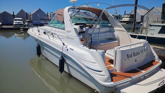 Searay Sundancer de 33 pies, aventuras y fiestas en barco costero