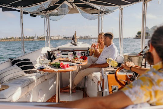Bateau électrique Duffy de luxe de 22 pieds avec capitaine | Marina del Rey, Los Angeles