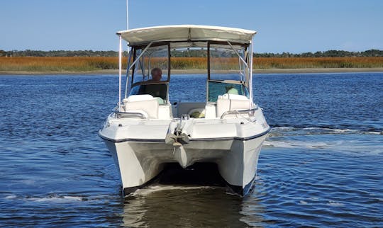 Vea Jacksonville desde el agua | Catamarán a motor Glacier Bay de 26 pies