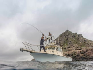 FISHING & SPEARFISHING CHARTER WITH CAPTAIN! 50 COMBINED YEARS EXPERIENCE! 50MPH