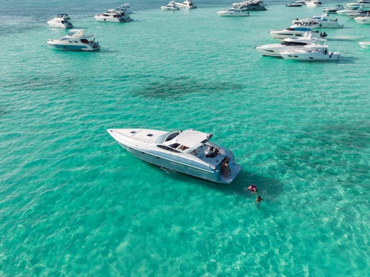 🏆 Excursion privée à l'île de Saona et à la piscine naturelle dans ce yacht de luxe de 50 pieds