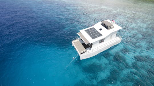 Nyaman Catamaran a Nusa Penida Cruise - for 4 Person