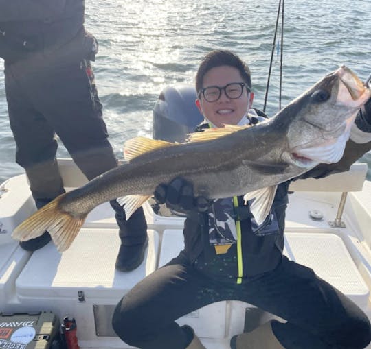 Carta de pesca na Baía de Osaka!! Disponível para pesca costeira e offshore!