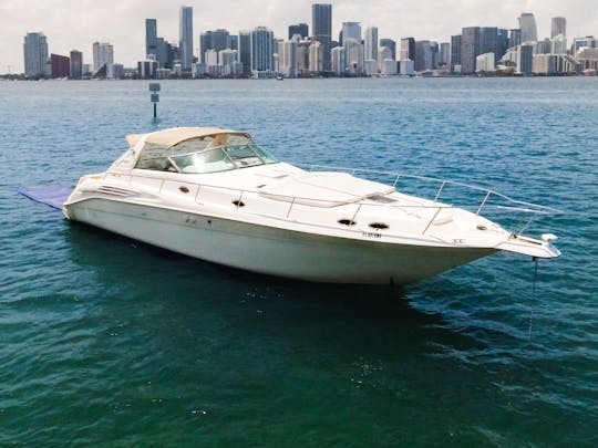 Location de yacht privé SeaRay de 50 minutes — Heure gratuite et promotions gratuites sur le jet ski en semaine ! 