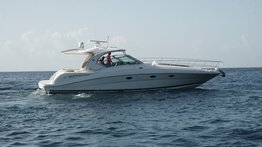 Sea ray 42 in Country House