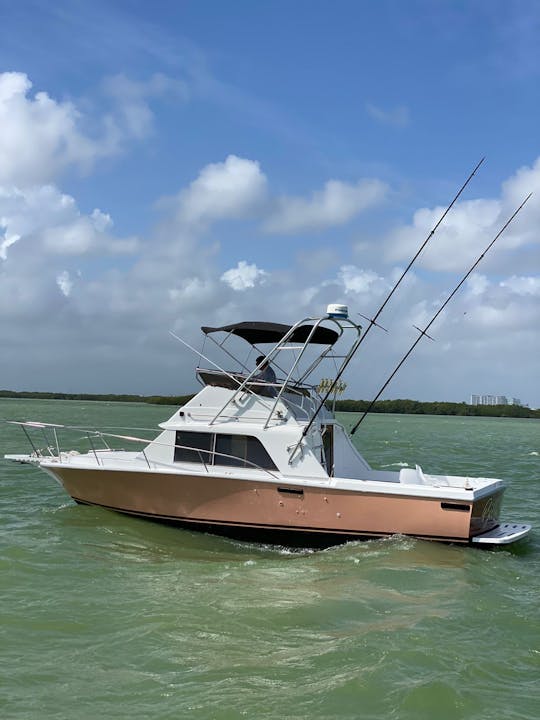 Cancun Fishing Charter, barco de 31 pies
