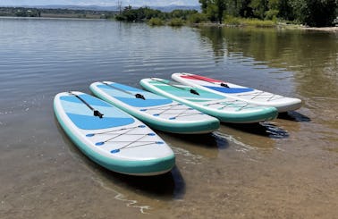 Paddle Boards for Rent