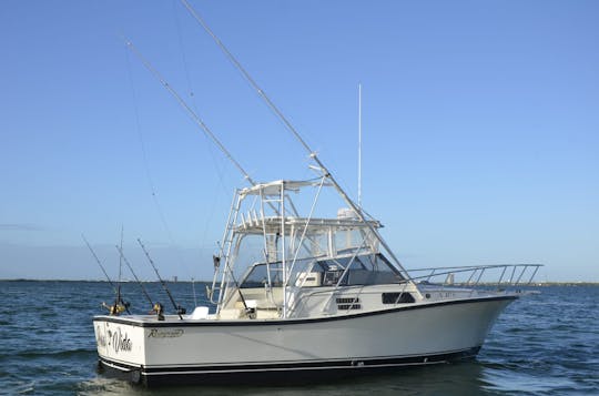 YACHT DE PÊCHE SPORTIVE BETRAM DE 35 PIEDS À CANCÚN