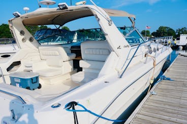 42' Sea Ray Sundancer Luxury Yacht - Great for outings!