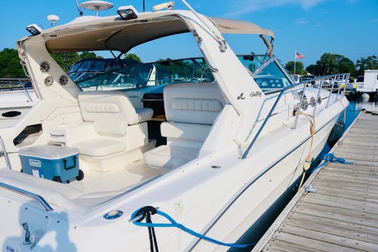 Yate de lujo Sea Ray Sundancer de 42 pies: ¡ideal para excursiones!