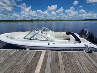 Cruise the Satilla River in Comfort Aboard the 20' Sea Hunt Escape