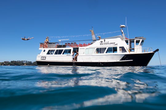 'Bay Explorer' Boat Scenic & Corporate Cruises in Tauranga