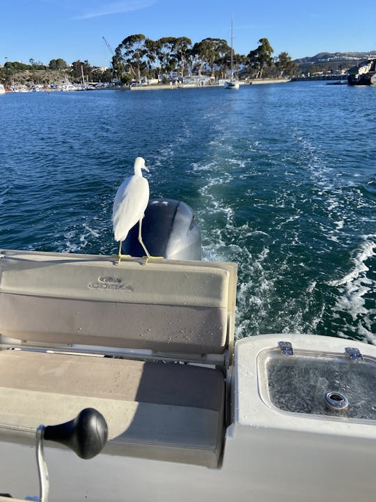 22ft Cobia Center Console in San Pedro