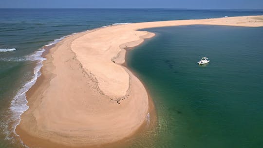 Private Boat Tour in Ria Formosa from Faro