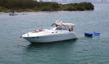 «TU MEJOR OPCIÓN PARA SOLO 6 PASAJEROS» SEARAY SUNDANCER 42'