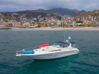 AH CARAY | Increíble yate Sea Ray de 42 pies para navegar un día en PV.