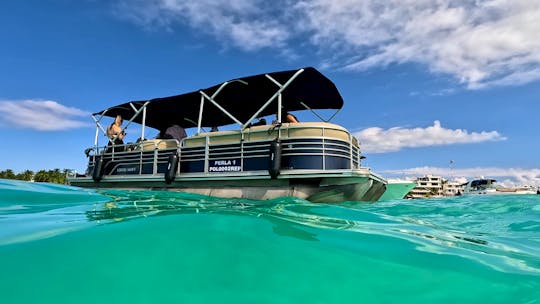 28 Feet Party Cruiser in the Cancun-Isla Mujeres Area! 🌞🚤