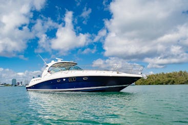 46 Searay - Enjoy The Best Party In Miami
