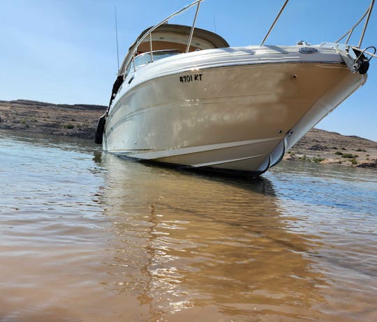 Unleash Adventure: Luxury Sun Dancer 280 Boat Charter on Lake Mead