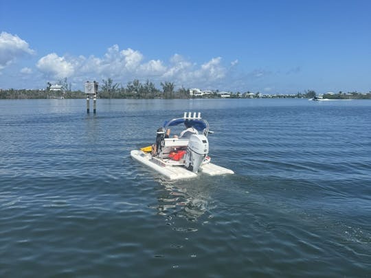 ¡Lleva a Catty a explorar la belleza del suroeste de Florida! 