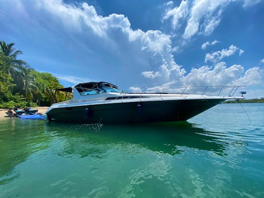50' Sea Ray Sundancer Yacht for your pleasure in Miami
