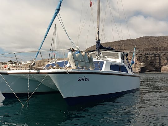 Catamarán Shiva Prout 31