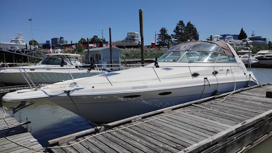 Searay Sundancer de 33 pies, aventuras y fiestas en barco costero