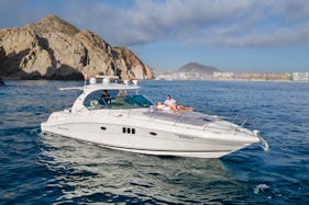 Private Luxury 45' Yacht in Cabo San Lucas