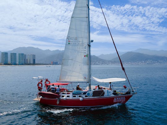 Magnificent Sailing Endeavour de 40 pés para uma experiência única no PV.