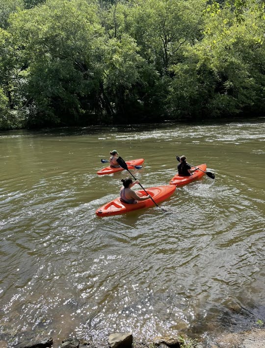 Explore the scenic Toccoa River through north Georgia by kayak