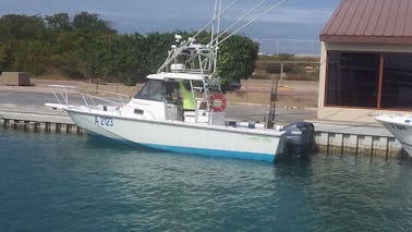 Viaje combinado de buceo y esnórquel