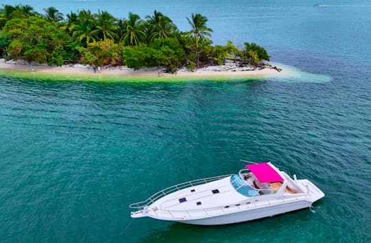 Sea Ray 44 Sundancer - Custom Pink Yacht In Miami